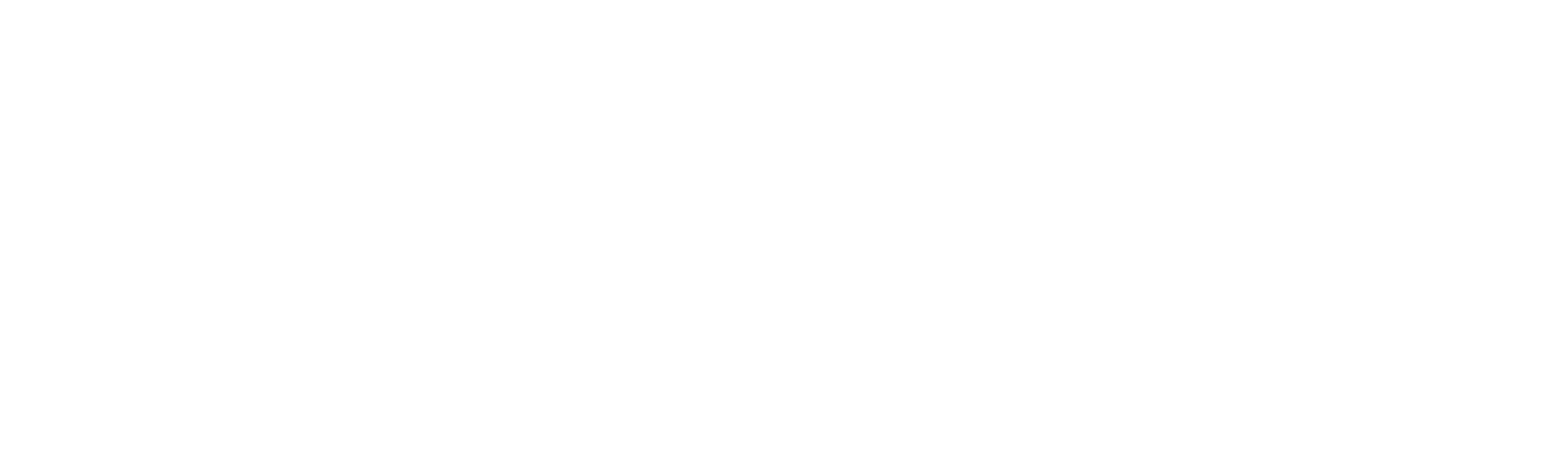 VITAE
